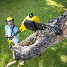 Best Lot and Land Clearing  in Chico, TX