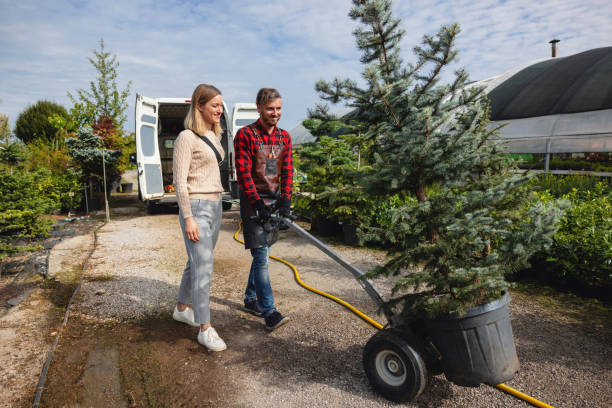 How Our Tree Care Process Works  in  Chico, TX
